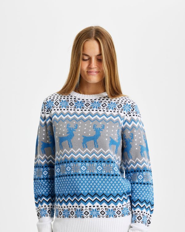 Traditionel Julesweater Blå - dame / kvinder